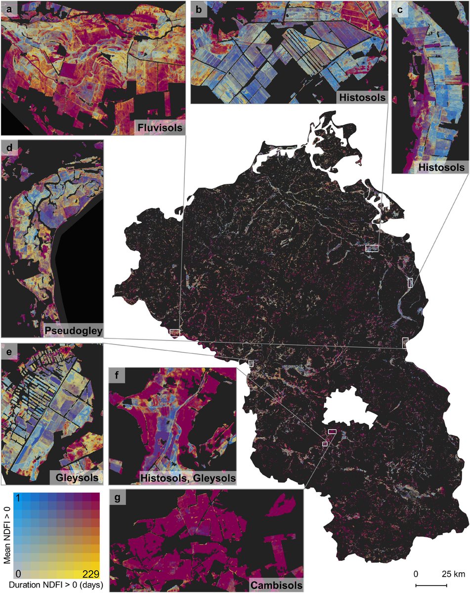 .@katja_kowalski et al. (2022) quantify #drought impacts in a major Central European #grassland region using a regression-based spectral unmixing framework and time series analysis using all #Sentinel2 data from 2017 to 2020. #LoLManuscriptMonday bit.ly/Kowalski_2022