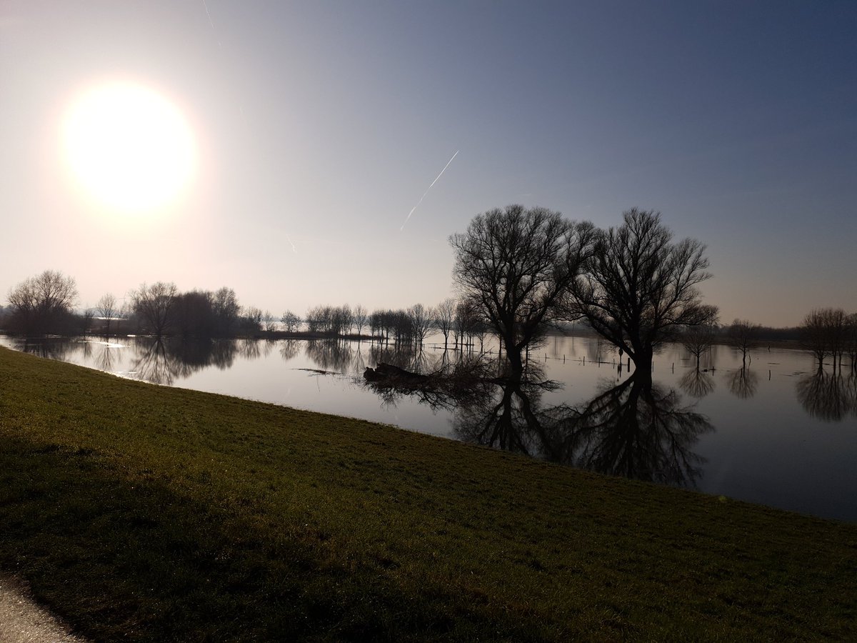 Wat is het toch mooi langs de #IJssel #Zwolle #Westenholte