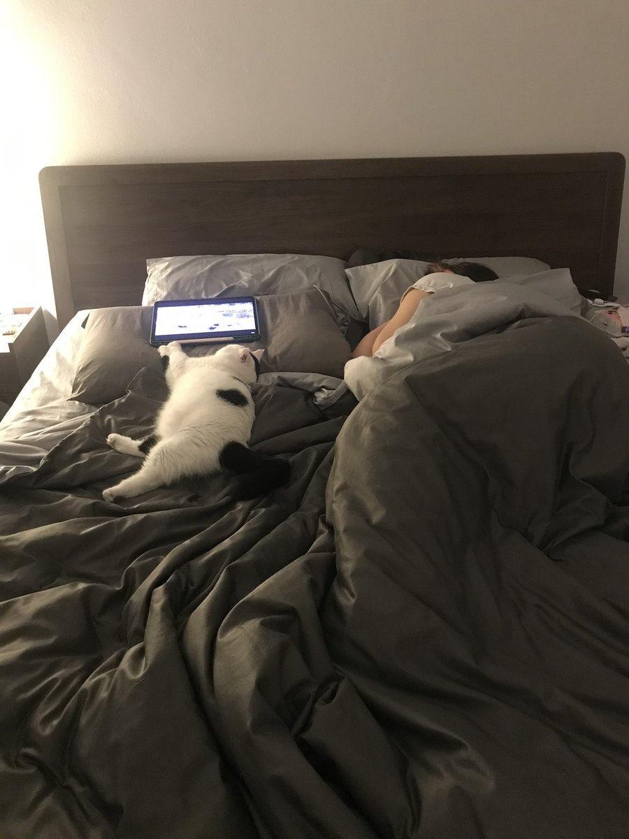 เมื่อวานเราหลับเร็ว แฟนนั่งเล่นคอมหันมาเจอ  5555555555555