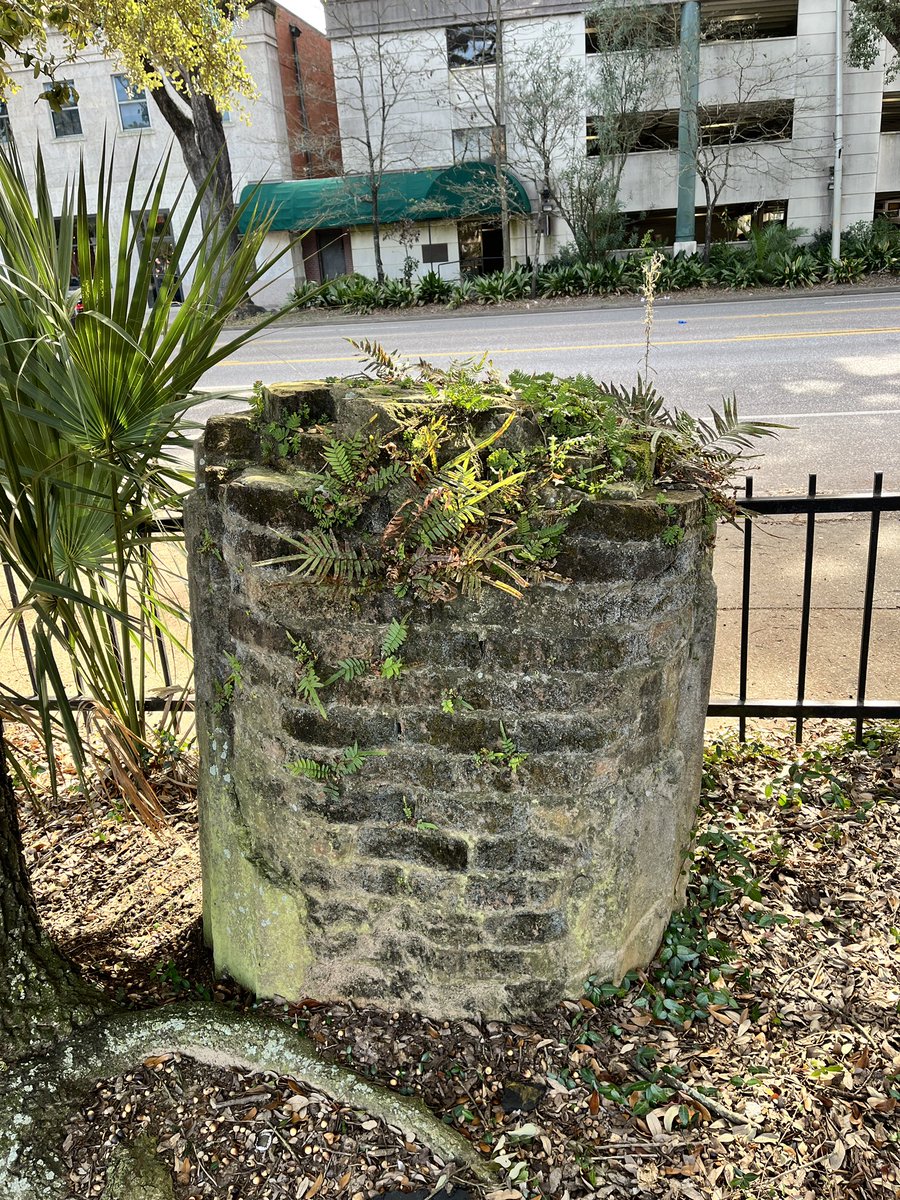 City of Mobile tweet media