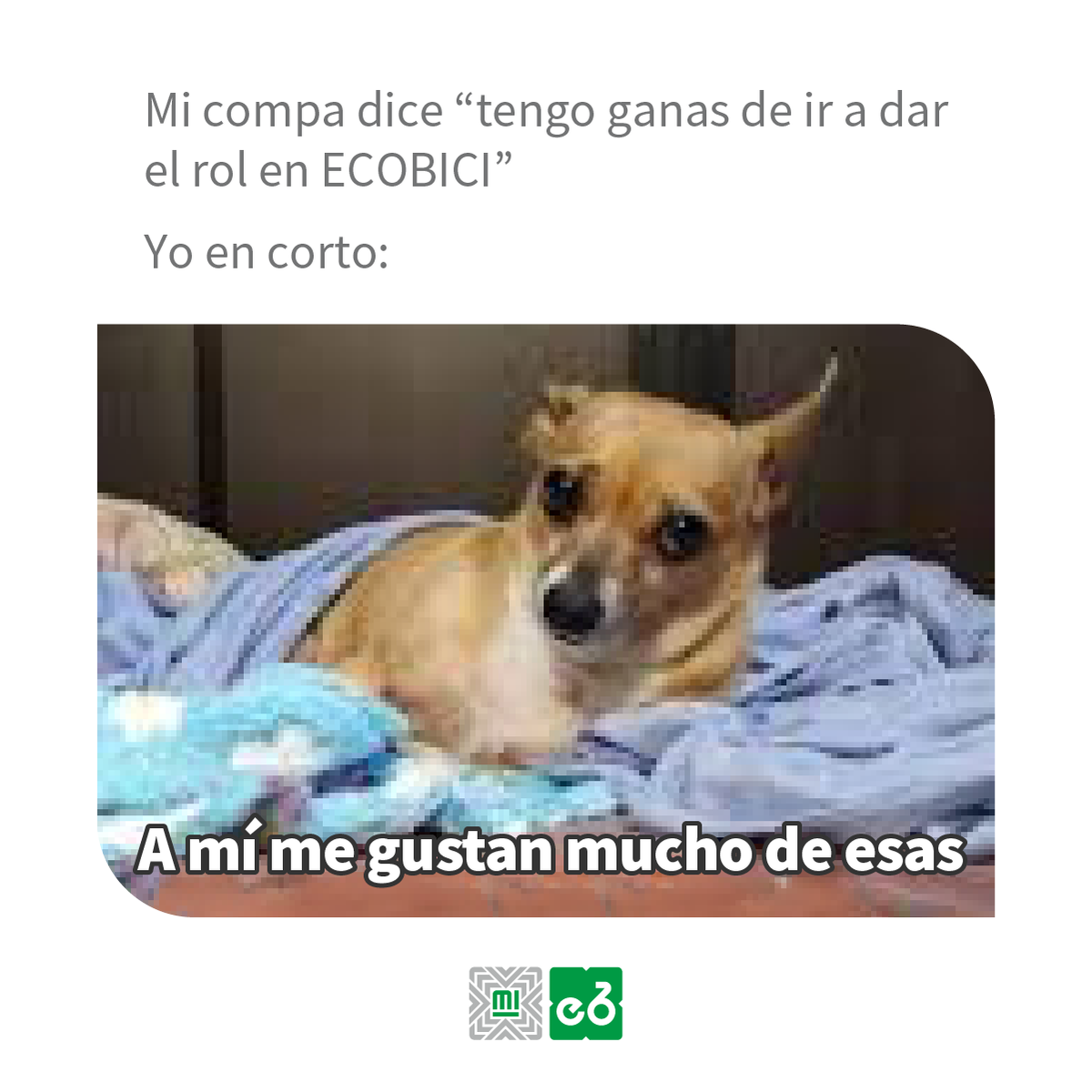 ecobici's tweet image. ¡Invítame, invítame! 🥺😅