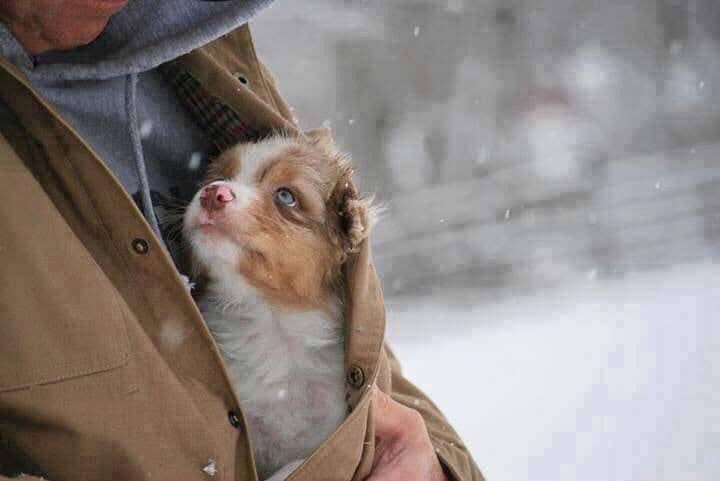 Отзовитесь добрые сердца. Быть добрым. Добро торжествует. Добро торжествует. Быть добрым.