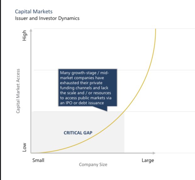 Here is chart illustrating the areas DIGTL will help solve globally with #tokenization #digitalsecurities #securitytokens in the new markets infrastructure for issuers and for investors to access.

Credit to our partners at <a href="/FusangOfficial/">FUSANG</a> for illustrating it with this chart.