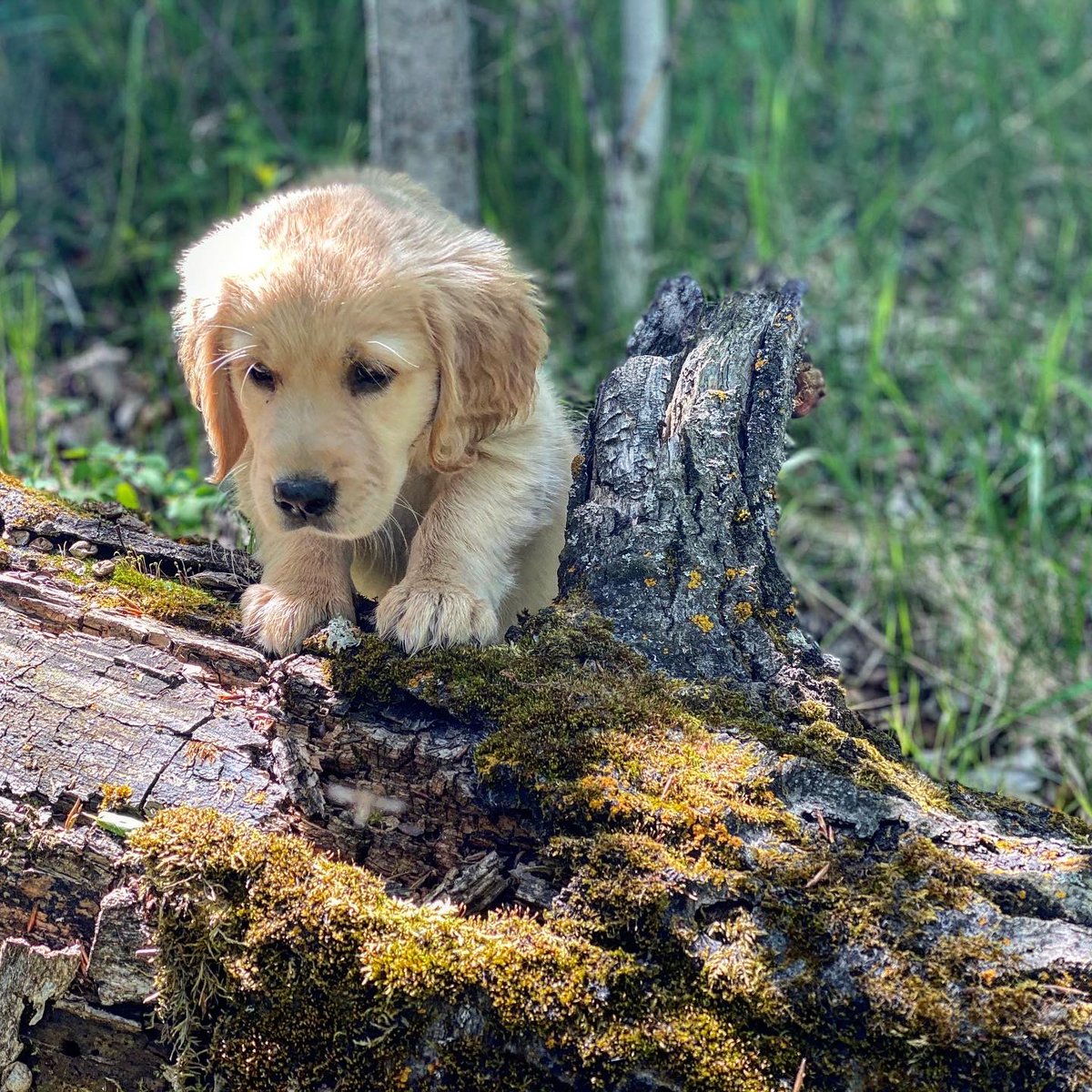 bunsenbernerbmd's tweet image. Timeline cleanse