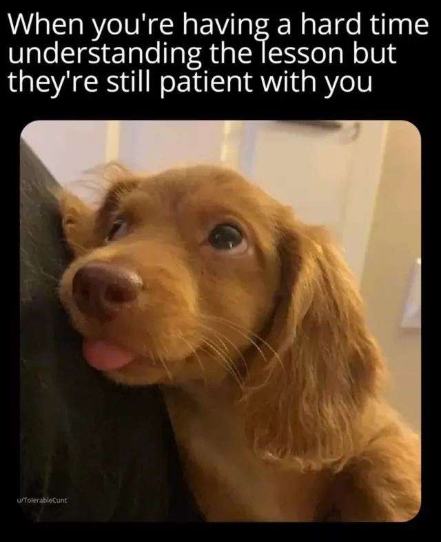 WholesomeMeme's tweet photo. https://t.co/3SRyUtGPEs
