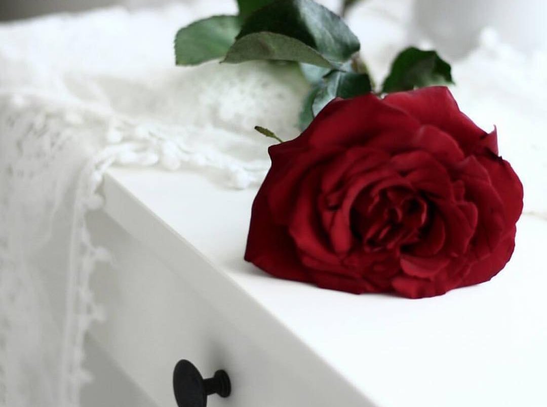 عطر 💔الحنين ( اميره الذووق )💛استودعكم الله tweet media