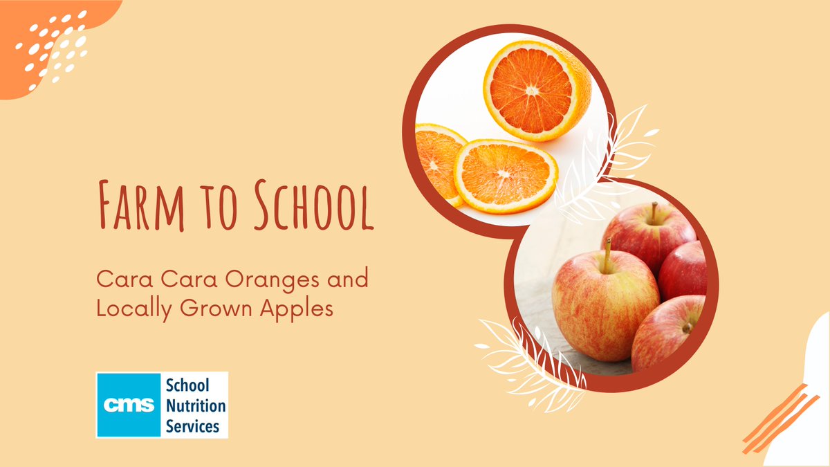 CMS School Nutrition (@cmsnutrition) on Twitter photo Our students will be enjoying the sweetness of Cara Cara Oranges and crisp Apples this week. Brought to us by dedicated farmers and our produce distributor, <a href="/FosterCaviness1/">Foster-Caviness</a>. #thankyoufarmers #farmtoschool #NCfarmtoschool #cmscares #cmsnutrition Our students will be enjoying the sweetness of Cara Cara Oranges and crisp Apples this week. Brought to us by dedicated farmers and our produce distributor, <a href="/FosterCaviness1/">Foster-Caviness</a>. #thankyoufarmers #farmtoschool #NCfarmtoschool #cmscares #cmsnutrition
