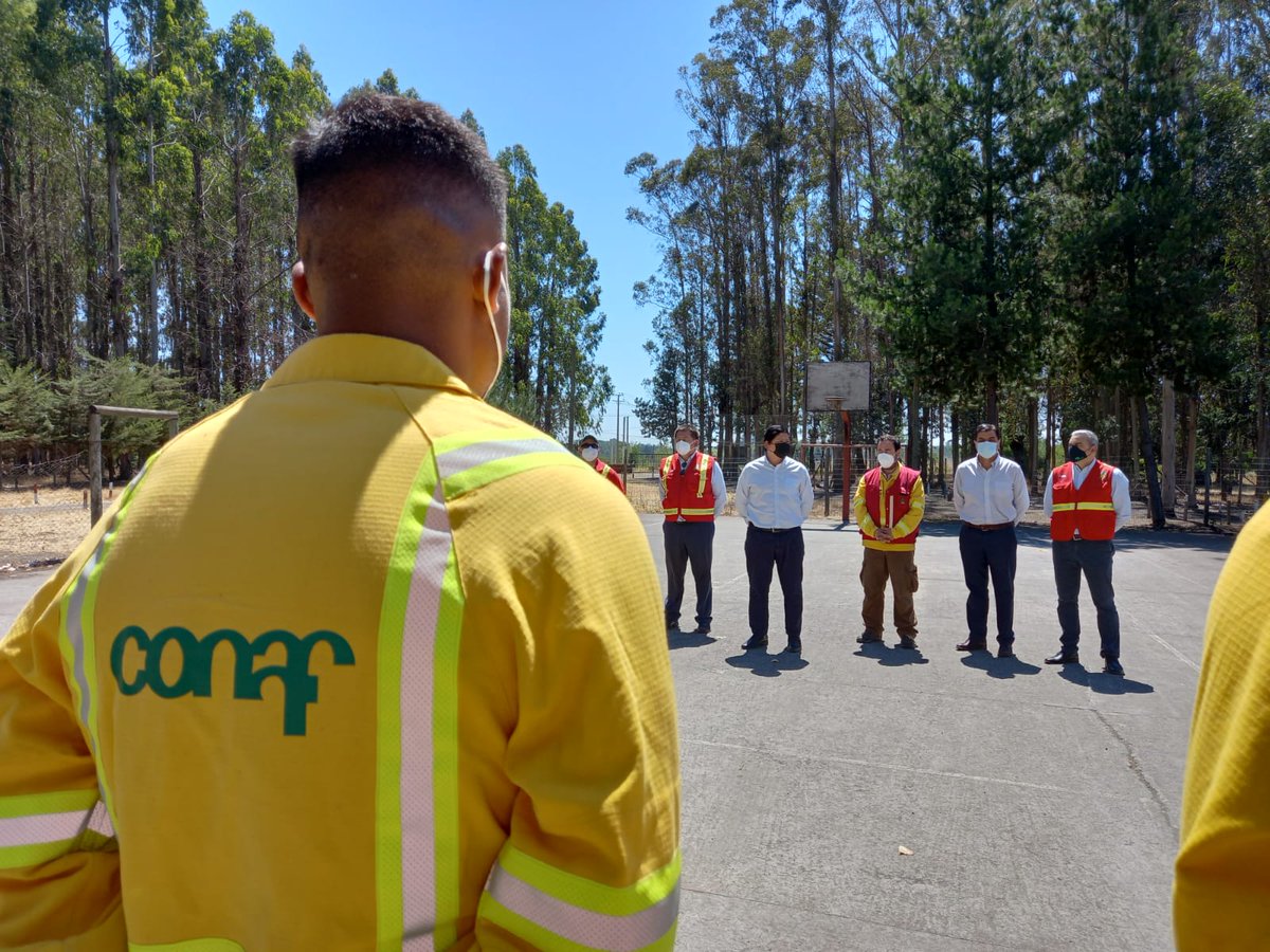 En Los Ángeles, autoridades insistieron en la prevención de los #incendiosforestales, ya que el 97 % son producidos por la acción humana. Delegado presidencial (s) <a href="/IgnacioFica1/">Ignacio Fica</a>, seremi <a href="/MinagriBioBio/">Minagri Biobío</a> y director de #CONAFBiobío Francisco Pozo destacaron labor de brigadistas.