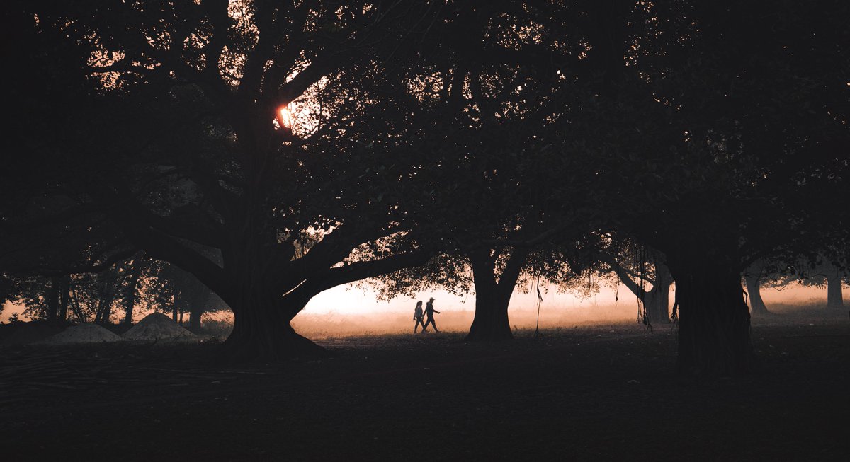 picshttp's tweet image. -The walk

#Atmosphere #Plant #NaturalLandscape #Twig #Wood