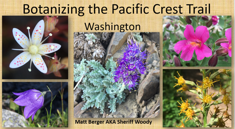 Join us at 7PM PST on zoom tomorrow (1/11/2022) for a botanical exhibition of plants found along the Pacific Crest Trail from the Oregon border to the Canadian border, a total of 506 miles of trail, during Matt Berger's 2019 hike of the PCT. Register today
wnps.org/cps-events/cal…
