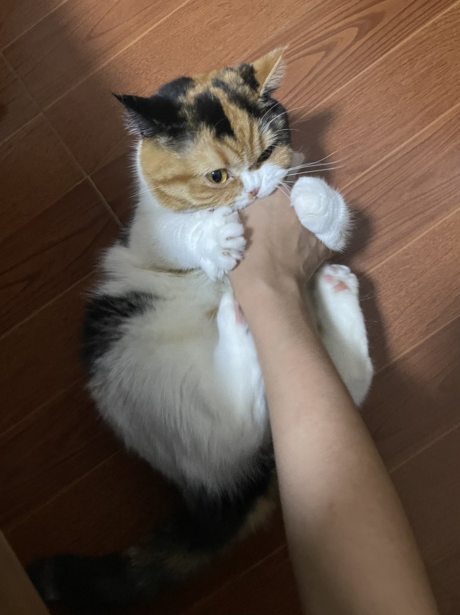 น้องบ๊วยวันนี้