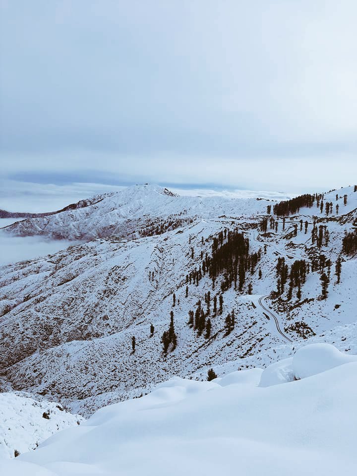 KainaatUmar's tweet photo. Open Invitation to All tourists across #Pakistan Come and visit our beautiful #Dir.
#ExploreDir https://t.co/2M2i2Qi27X