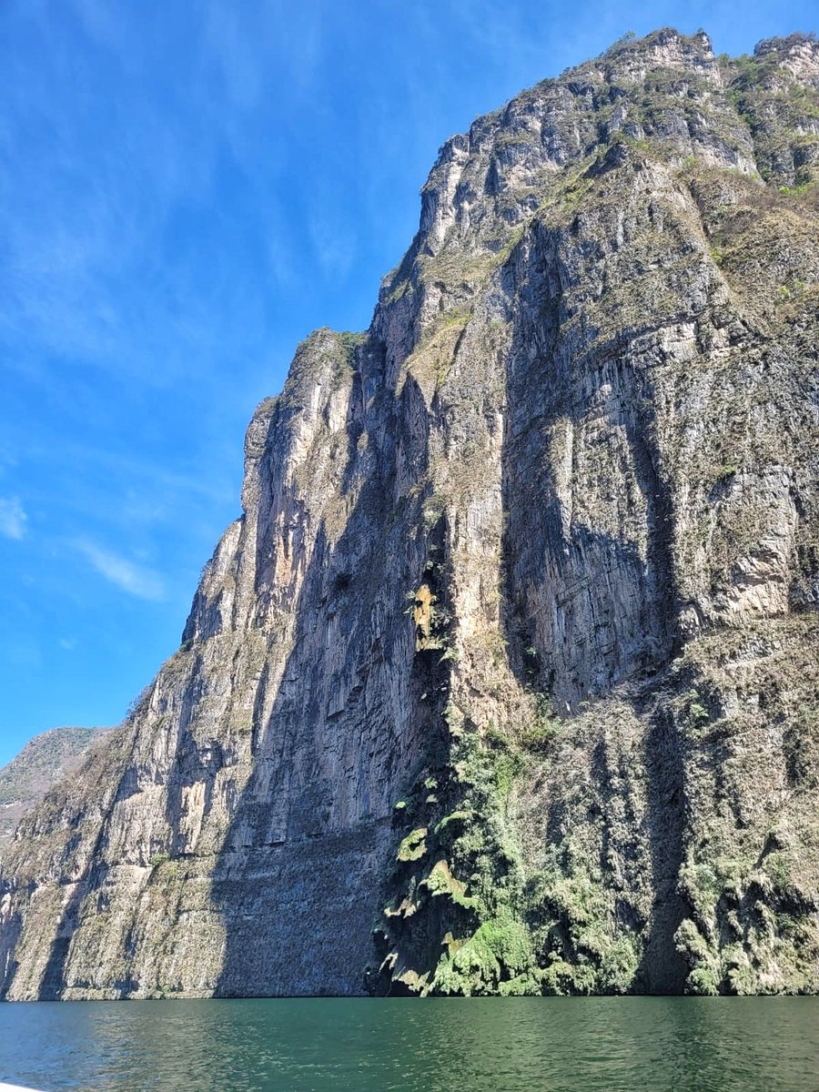 untrolleyperdue tweet media