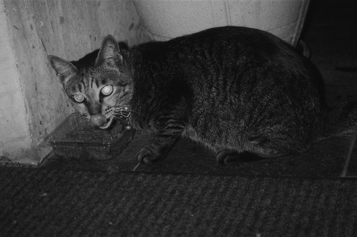kimkymv's tweet photo. #KonicaPop #kentmere100 https://t.co/qYYWOPqsF0