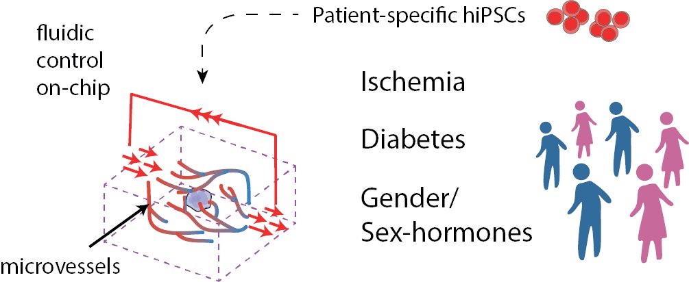 TinaHaase tweet media