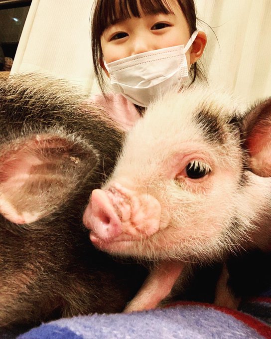 宮地美然のTwitter画像47