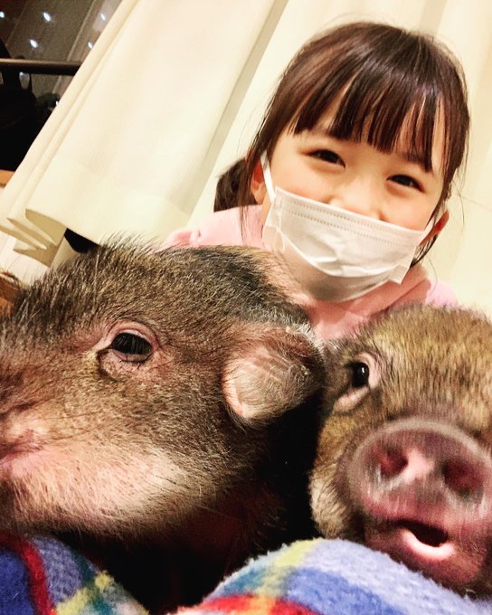 宮地美然のTwitter画像48