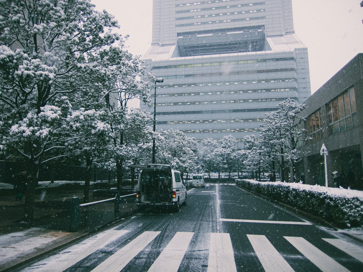 narui_camera's tweet photo. ある日の雪
#写真撮ってる人と繋がりたい 
#カメラ好きな人と繋がりたい #ファインダー越しの私の世界 #カメラ #カメラ男子 #カメラ女子 #写真好きな人と繋がりたい #雰囲気嫌いじゃないよって人RT #photography #photo #スナップ #雪景色 https://t.co/fa5rl7L61w