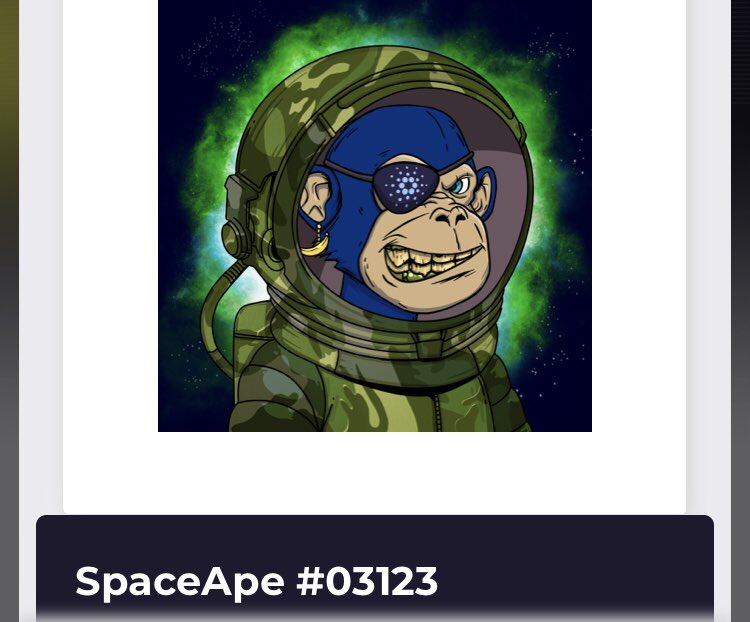 Had this a while now, love it <a href="/SpaceApeClub/">Space Ape Club | The Ada Squad</a>