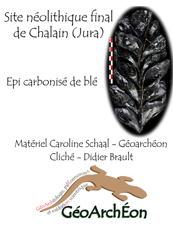 geoarcheon tweet media