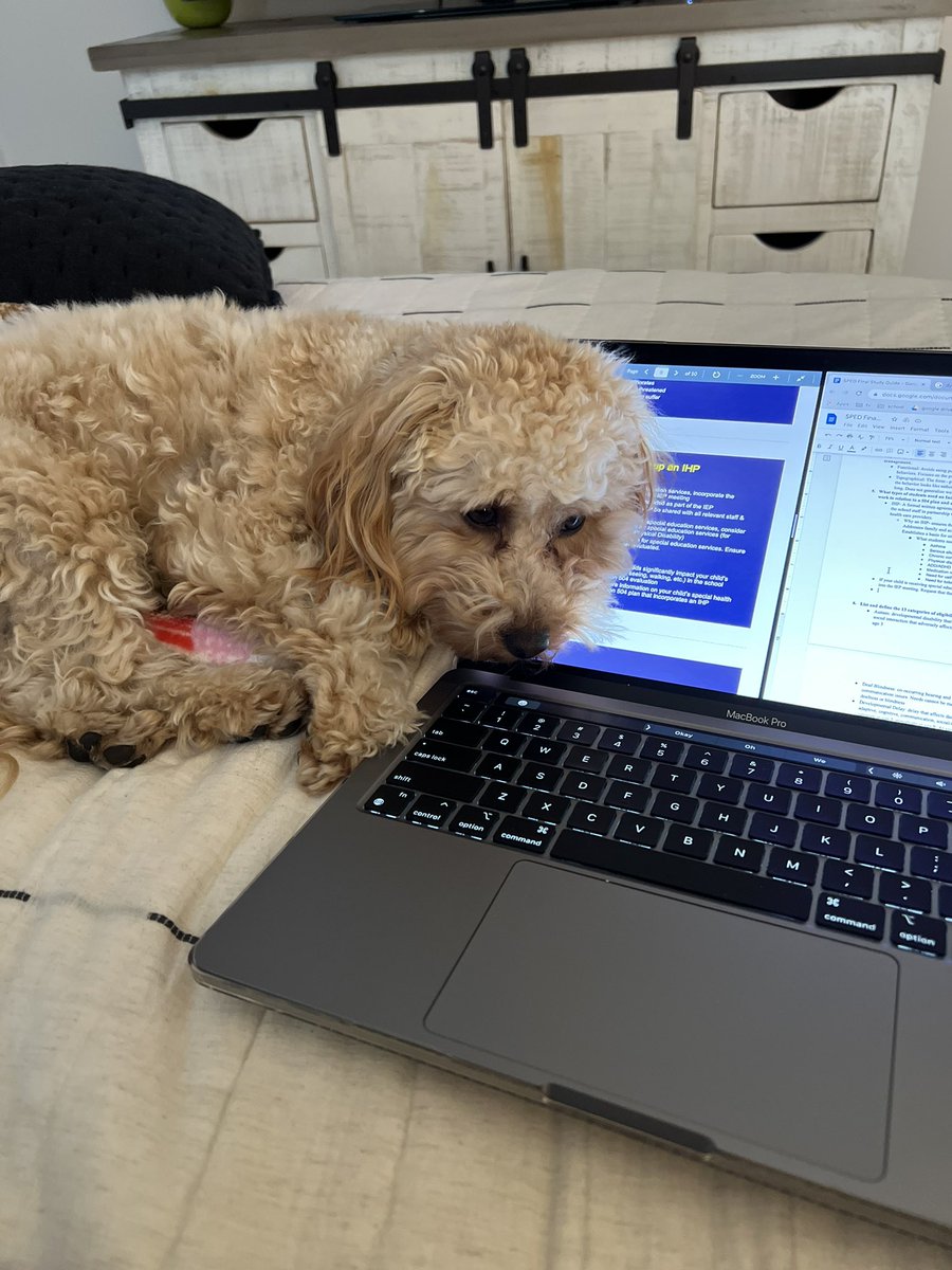 Ansley Dean tweet media