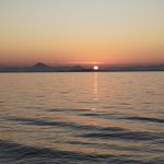 ツイートに含まれる画像