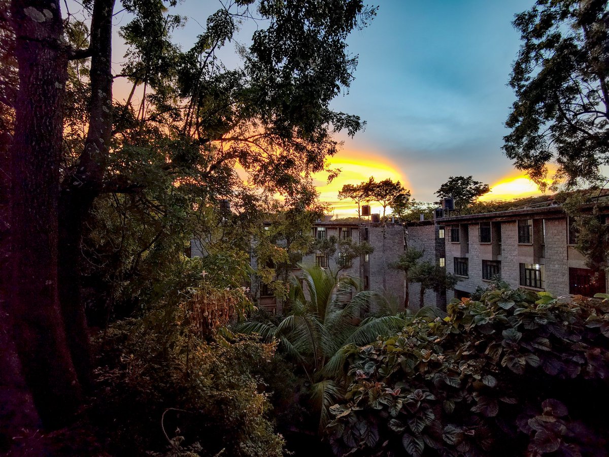 The soft light of the setting sun illuminates the hostel blocks nestled amidst the green.

#IIMB #IIMBangalore #ThePlaceToB #LifeAtIIMB #MBALife #StoneWalls #StoneWalledCampus