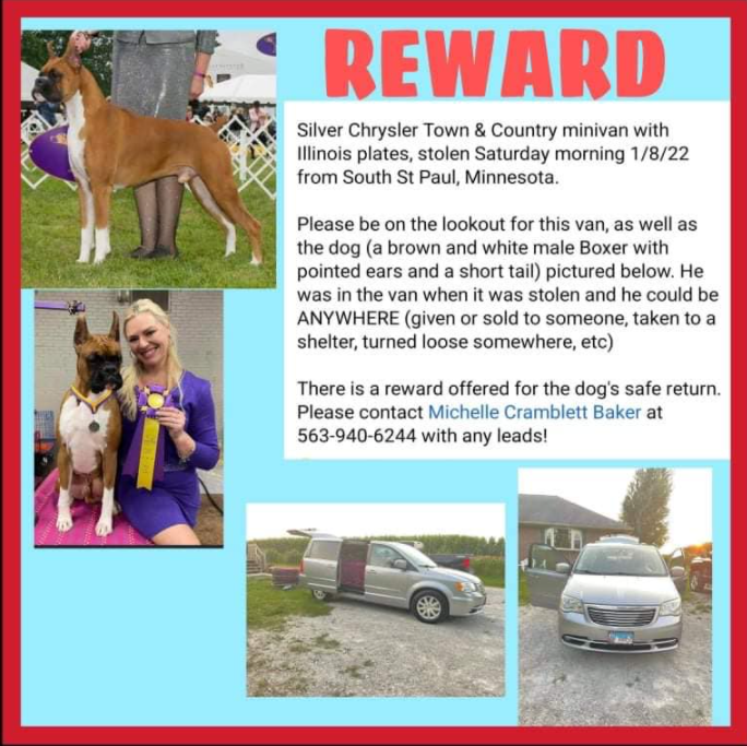 South St. Paul PD seeks info on a person of interest who may have info on "Jasper" the dog and the vehicle that was stolen from the St. Paul dog show.
There is now a $10,000 cash reward for info about Jasper who is still missing. 

facebook.com/michelle.cramb…