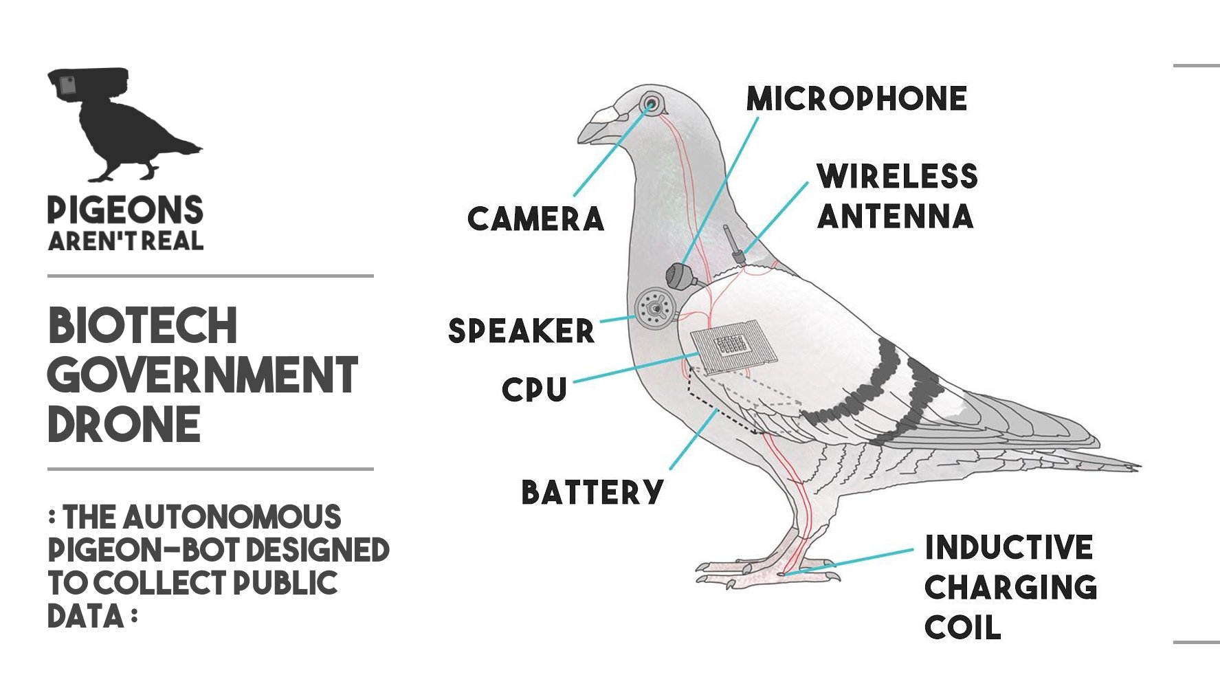 Pigeon hotsell surveillance drones