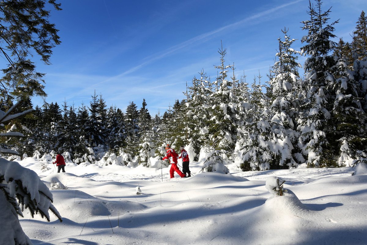 tourismebelge's tweet photo. [Ski de fond] S'ébattre dans la poudreuse au Signal de #Botrange, point culminant de la #Belgique, en bordure de la Réserve naturelle Hautes Fagnes-Eifel offrant une multitude de parcours balisés et tracés https://t.co/npU8qDyBQC @ProvincedeLiege #Wallonie https://t.co/rmqvRX2HnH