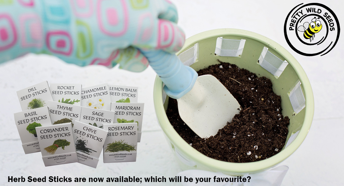 How's this for ease? We've added a range of Herb Seed Sticks to our store, they're a great way to get kids involved in growing.

prettywildseeds.co.uk/category/seed-…

#herbs #herbgarden #seedsticks #gardeningtipsforbeginners #growingfromseed #herbseeds