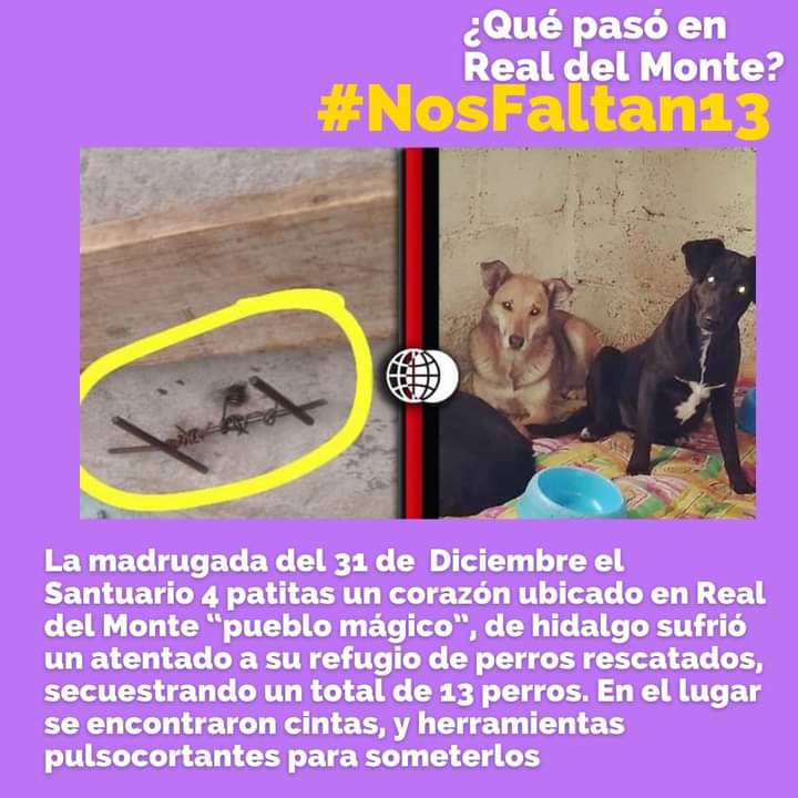 Haz tu trabajo! <a href="/ATelloC/">Alejandro Tello</a>  nada ¡que solo son perros¡
13 perros robados con violencia del santuario cuatro patitas un corazón.
Y te dignas a hacer algo al respecto, además con violencia mandaste interrumpir busqueda y la manifestación
#NosFaltan13  
#ManifertarseNoEsDelito