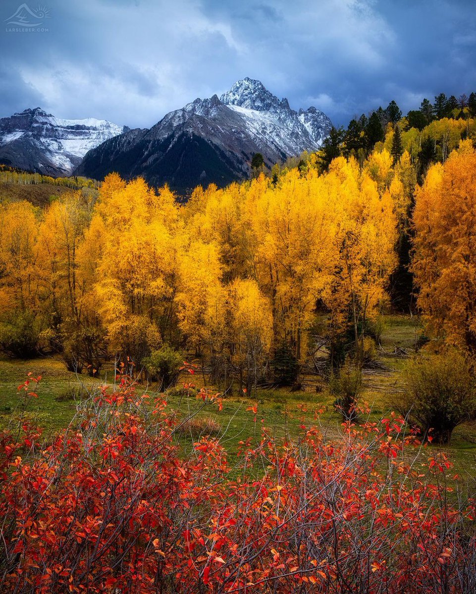 acidogp9's tweet image. 