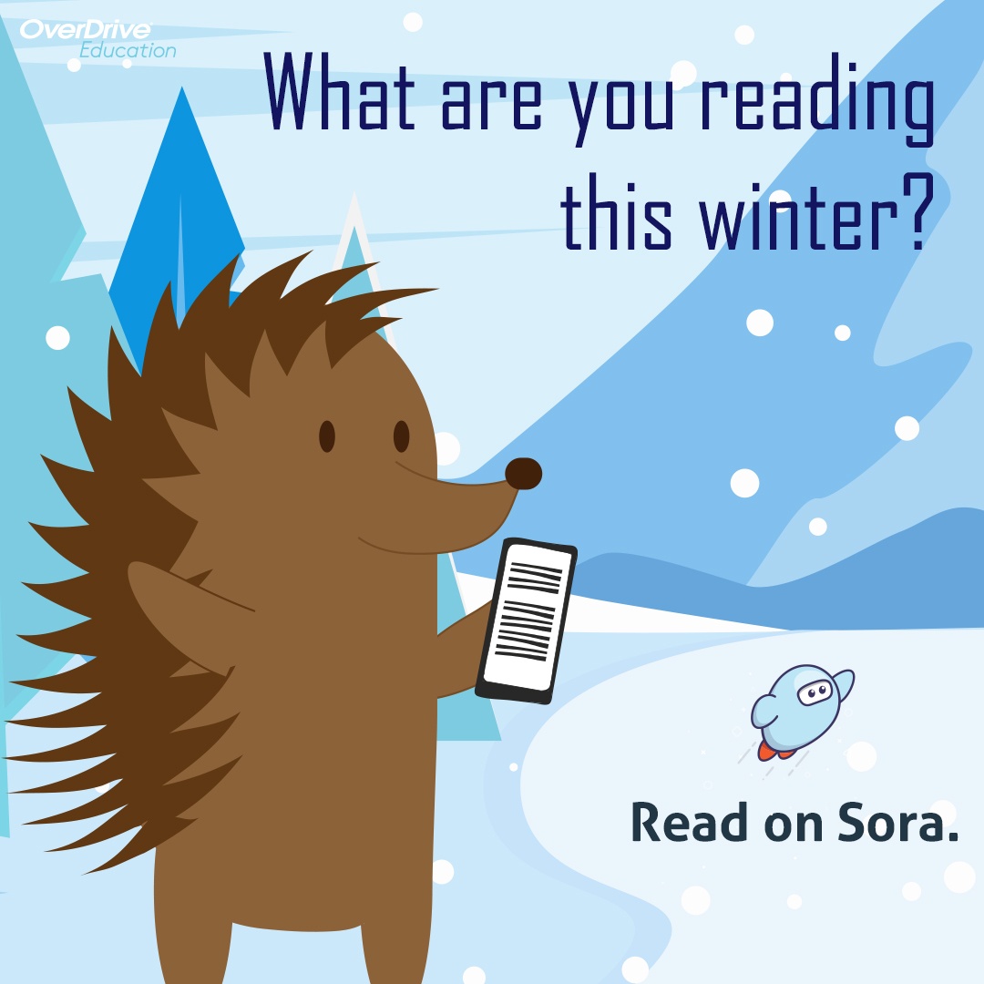 DE students have free access to the Sora app. If you don't know how to access your account, check with your school and get reading! #netde #edude