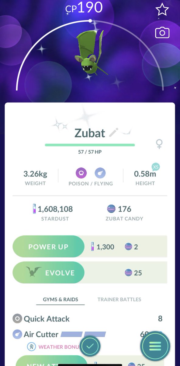 jacqrx's tweet photo. Newest shiny! Wasn’t expecting this one at all but pretty happy with it  💚 #pogo #pokemongo #shinypokemon #zubat #shinyzubat https://t.co/WKxyMMaliK