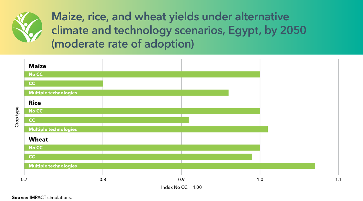 IFPRI's tweet photo. Accelerating investment in climate adaptation measures (like agricultural research &amp; development 🔬) could offset Egypt's projected decline in food production due to #ClimateChange by 2050. 🍽️ 📉

Read the @IFPRI report: https://t.co/EfpLvC3Hsu

@USAID @PIM_CGIAR https://t.co/D1nV1W89a4