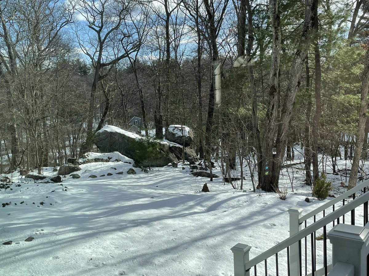 Abby Wurts tweet media