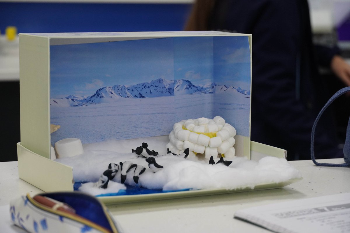 FHSSloaneSquare's tweet photo. Our Year 7 girls have been busy over the Christmas break crafting intricate, miniature eco-habitats inside shoeboxes! Such fantastic, creative work on show in the labs today. #FHSScience #Creativity https://t.co/ztDv7n2D0L