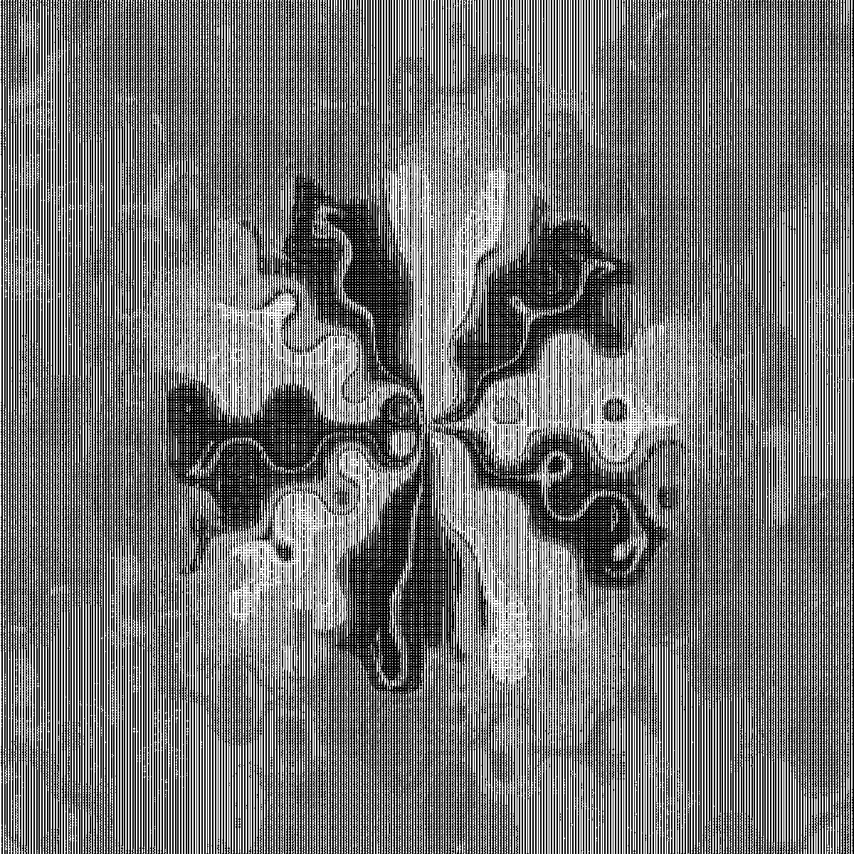 #genuary #genuary2022  Jan.2 Dither