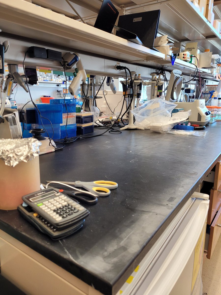 Andrea Chaikovsky tweet media