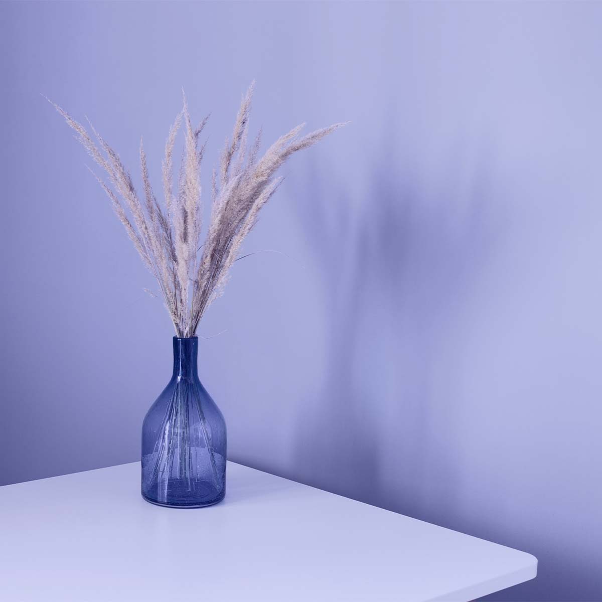 abat_jours's tweet photo. Cette semaine, on met à l'honneur le nouveau #pantone de l'année #2022 : Il s'agit du pantone #veryperi : un #bleu qui tire sur le rouge-violet. Prêts à adopter cette couleur dans votre intérieur ?

#tendance #couleur #violet #rouge #déco #decoddict #maison #luminaire https://t.co/CWvu2v3JEy