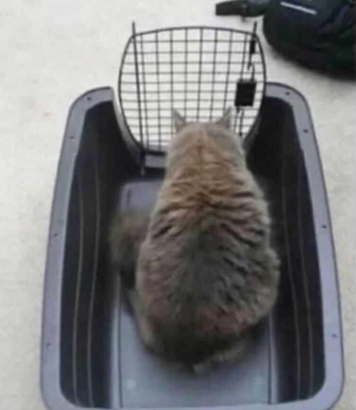 If you focus too hard on the problem, the solution will always elude you.