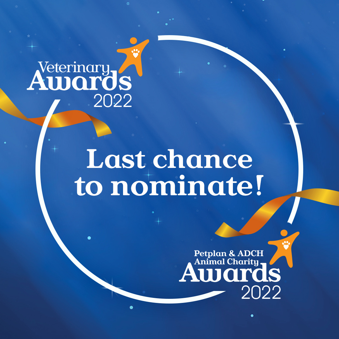 Nominations close tonight! So say a big 'thank you' now to all those who go above and beyond for pets in need before it's too late 🧡 Veterinary Awards 2022 👉 bit.ly/VetAwardsNomin… Animal Charity Awards 2022 👉 bit.ly/AnimalCharityA…