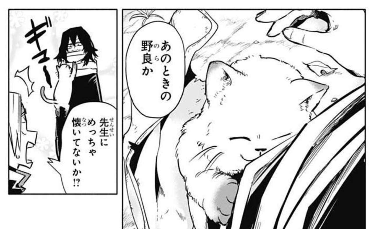 That morning AM pointed out Aizawa didn't have his blanket on a chilly day. Turns out Aizawa gave it to a stray cat and the cat was the ghost the kids saw 🤭

Kaminari: That cat is really into sensei!? 