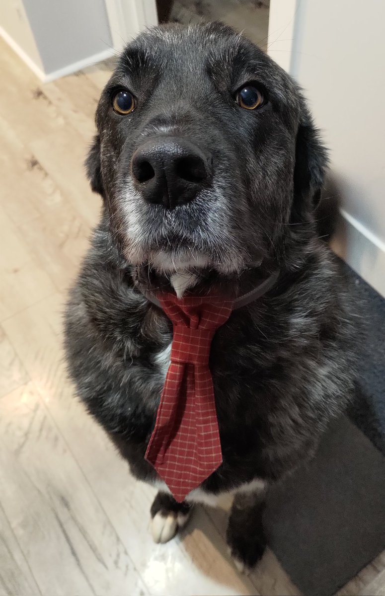 Business in the front.