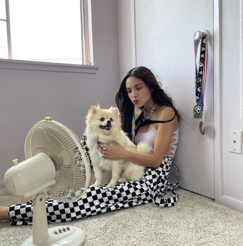 rueliviathinker's tweet photo. who needs therapy when pics of them with dogs exists !! https://t.co/lOdM5yrl3j