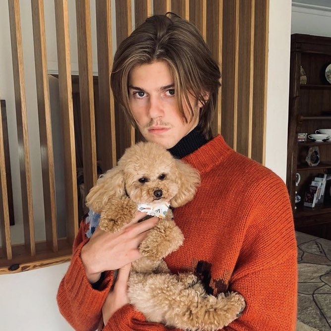 rueliviathinker's tweet photo. who needs therapy when pics of them with dogs exists !! https://t.co/lOdM5yrl3j