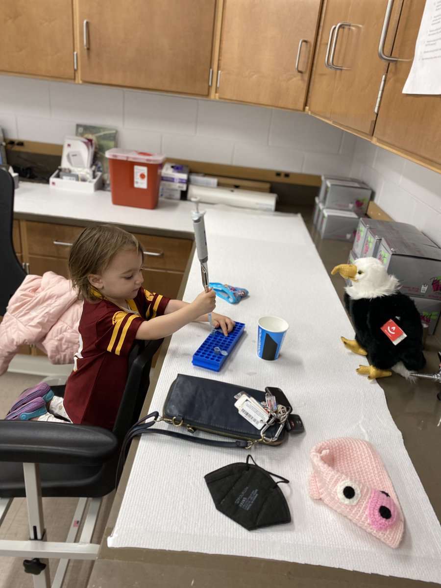 DrGregGrosicki's tweet photo. Daycare closed this week due to COVID. Good a time as any to begin her training in the lab, closely supervised by @GeorgiaSouthern Gus! #AcademicTwitter 
@WCHP_GS @ArmstrongBHPC https://t.co/6M3iJOTgAs