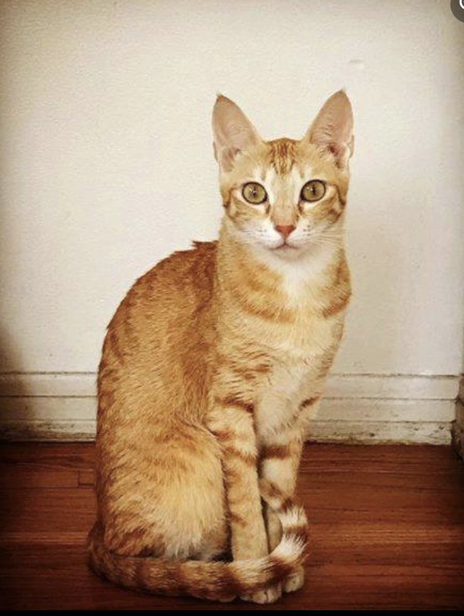 Jeanne Pinder tweet media