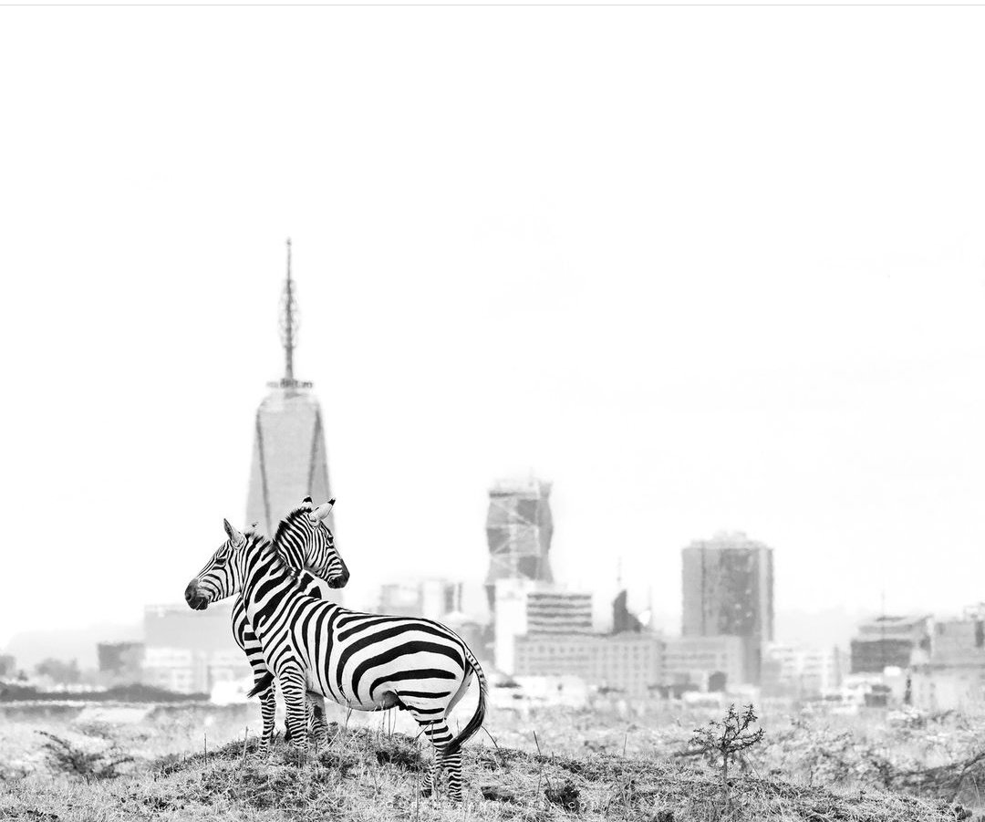 ✋Kenya yangu ✋